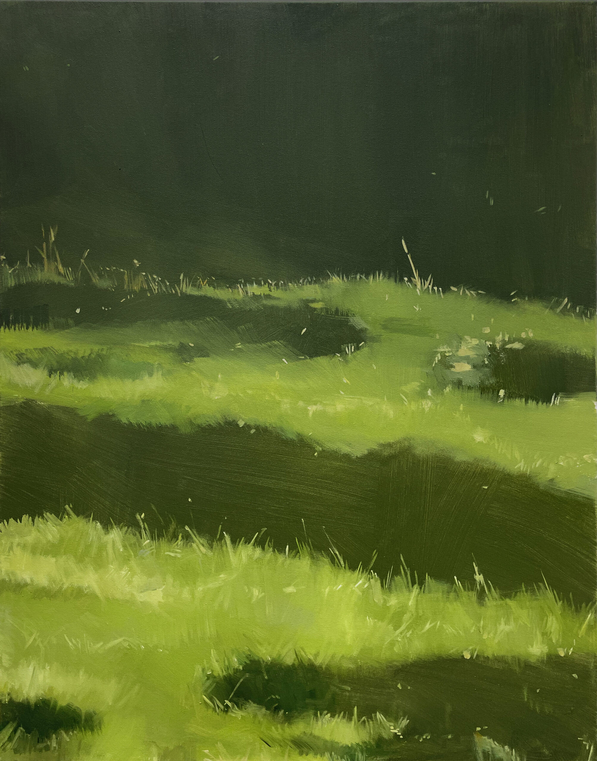 陈若璠 grandpa_s garden